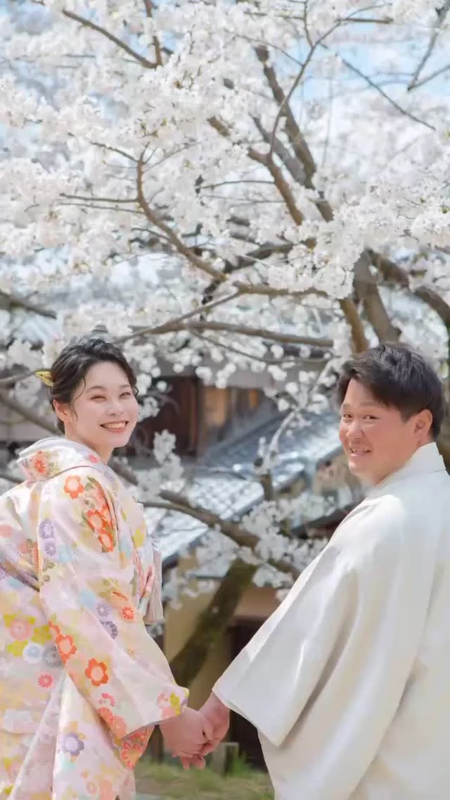 WS228 菊スパン刺繍に鳳凰の鶴 | お衣裳さわらぎ